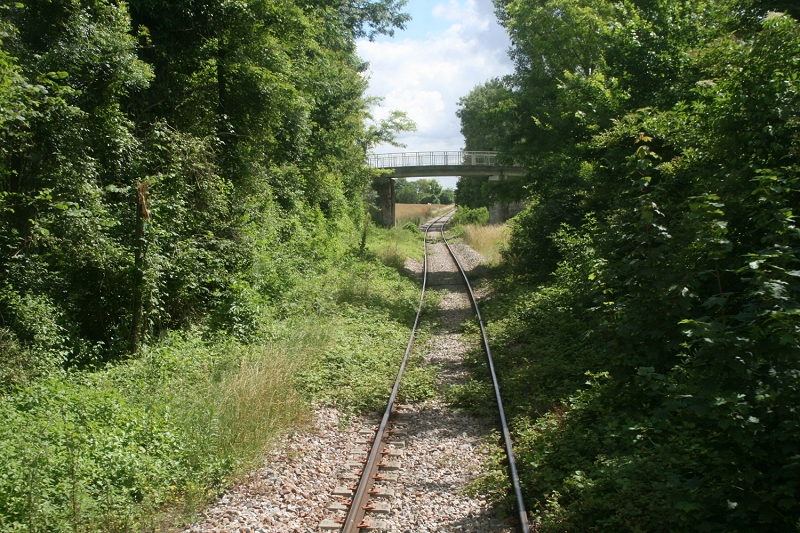 Par endroits, la végétation est abondante (photo Ajecta-P.Berger)