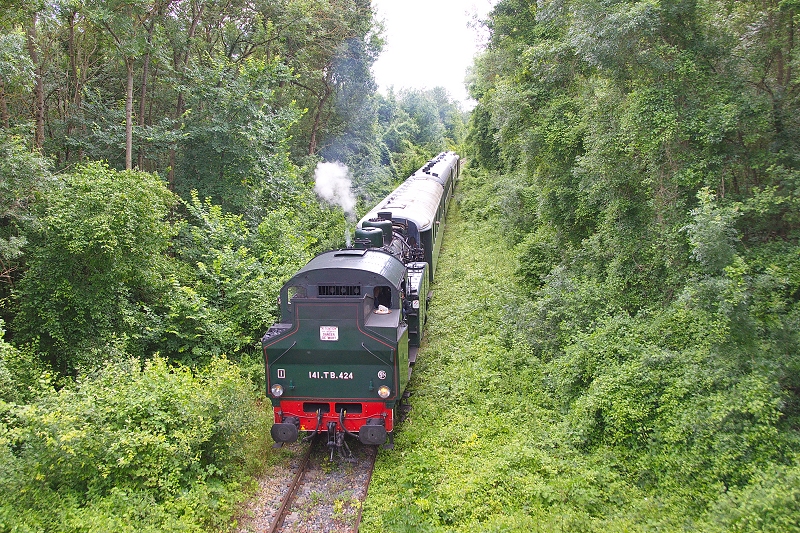 Dans un tunnel de verdure (photo C.Santiciolli)